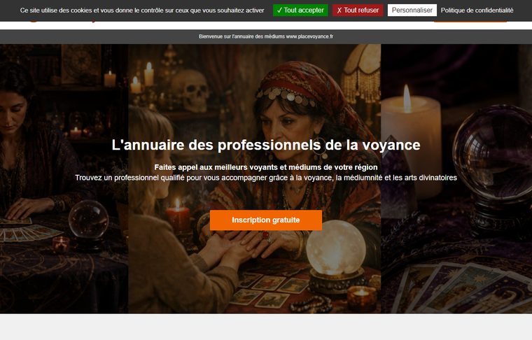 Page d'accueil de placevoyance.fr